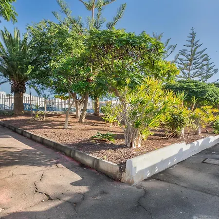 Apartamento Calma Mar Arona (Tenerife)